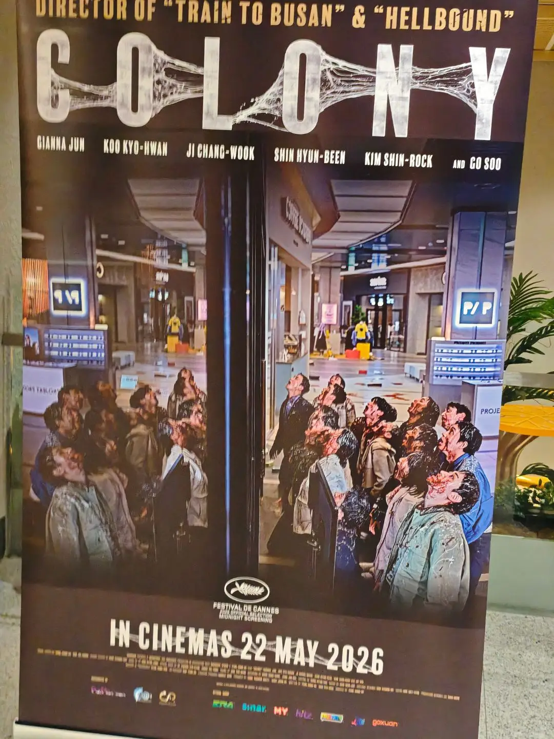Colony 照片 4