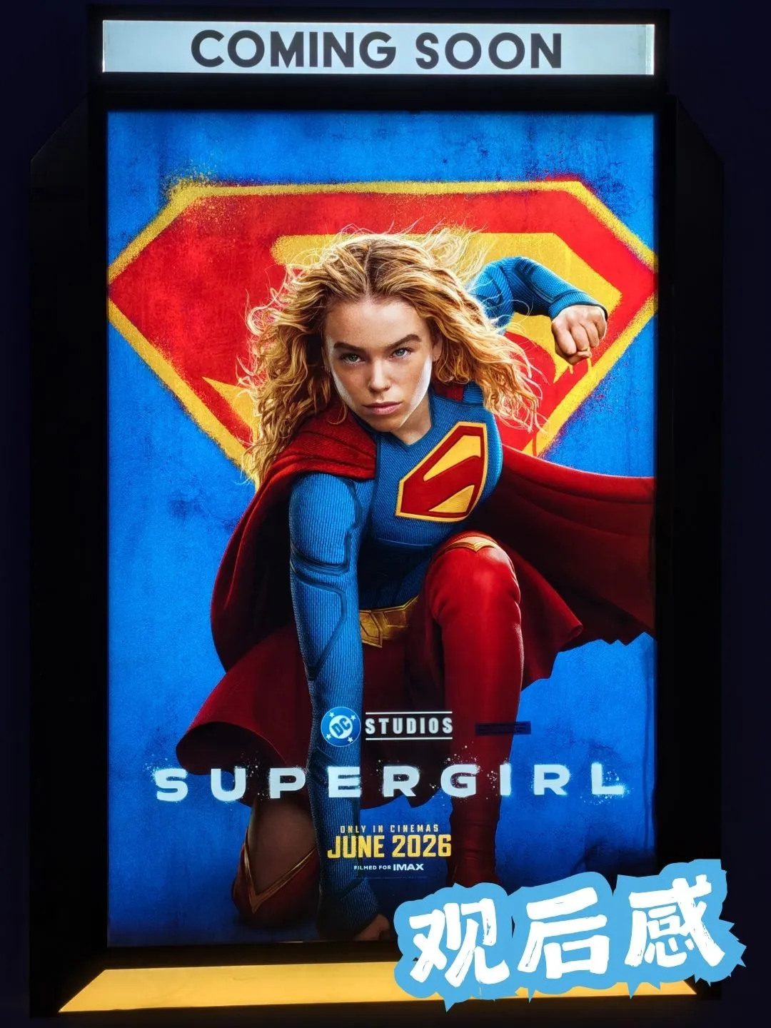 《Supergirl》救狗也找回自己的冒险 海报