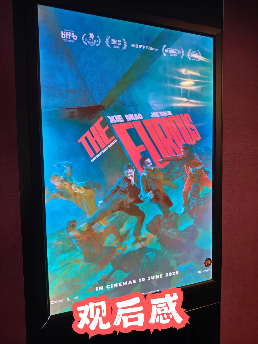 《The Furious 火遮眼》献给动作片粉的情书 海报