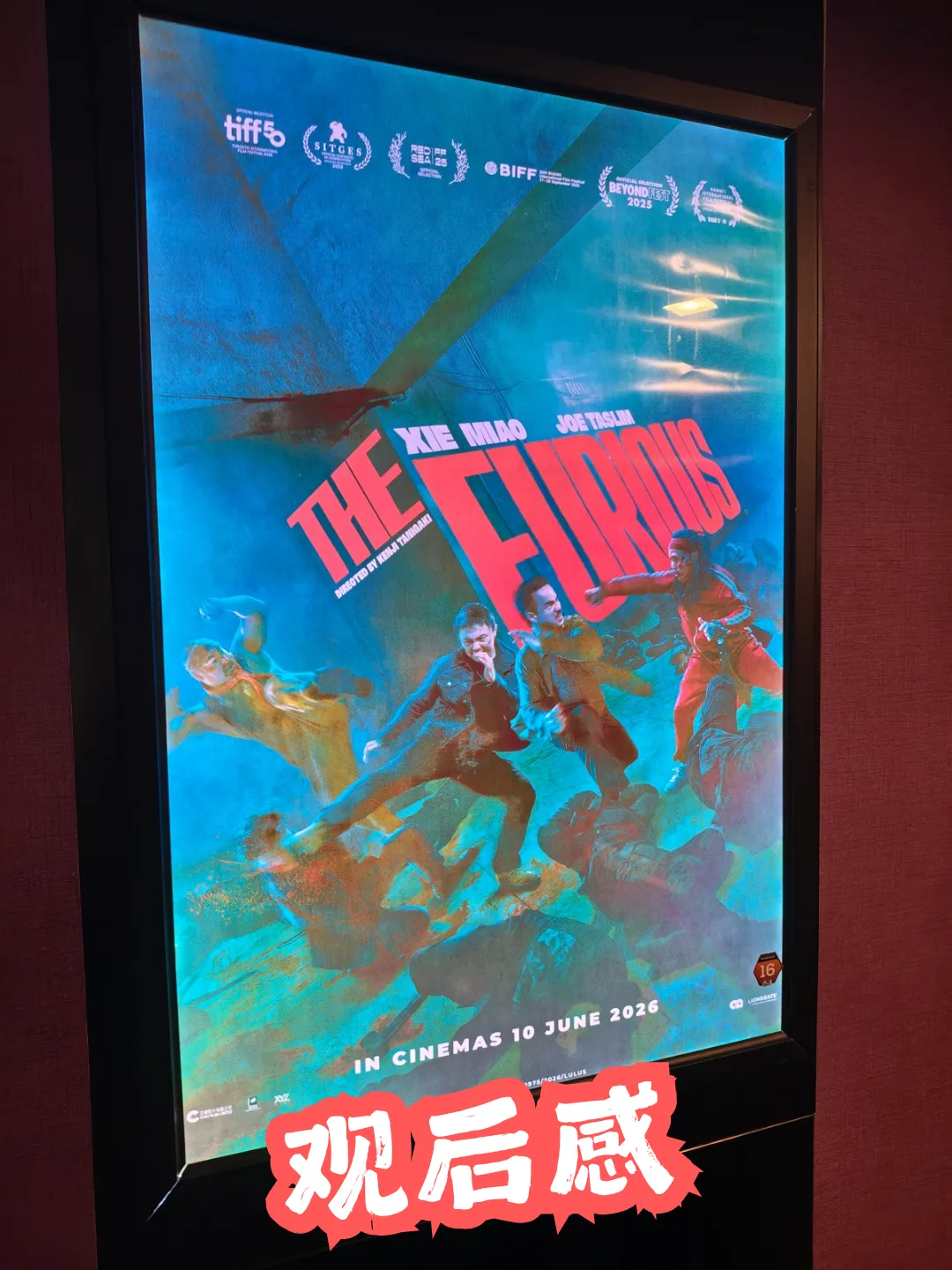 《The Furious 火遮眼》献给动作片粉的情书 海报